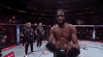 Mixed Martial Arts Sport GIF by UFC