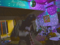 Music Video Party GIF by Junior Mesa
