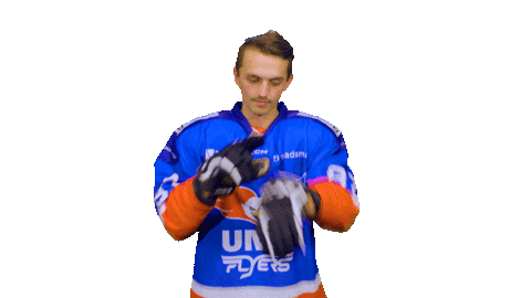Goal Eagles Sticker by UNIS Flyers