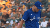 Blue Jays Baseball GIF by Toronto Blue Jays