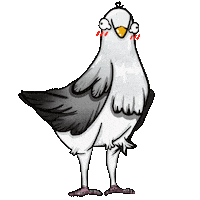 Question Mark What Sticker