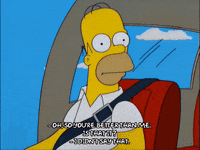 homer simpson GIF