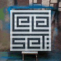 celaset  GIF