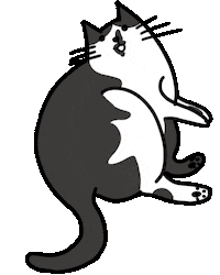Cat Lying Sticker