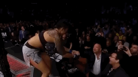 ufc 232 sport GIF by UFC