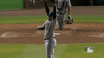 Regular Season Yes GIF by MLB