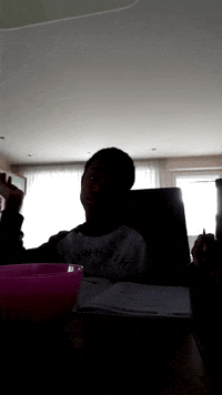 lektora_verlag  GIF