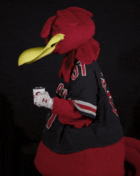 Coffee Talking GIF by University of South Carolina