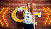 Georgia Tech Volleyball GIF by Georgia Tech Yellow Jackets