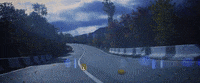 Sport Sun GIF