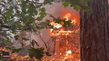 90,000-Acre Wildfire Destroys Hundreds of Structures in California