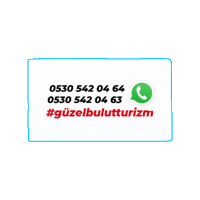 Brand Sticker by GUZELBULUT TURIZM SEYAHAT ACENTASI