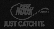 Fishing Snook GIF