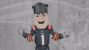 Football Reaction GIF by New England Patriots