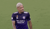 Vamos Lets Go GIF by Major League Soccer