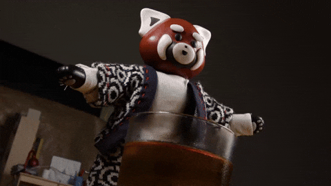 Red Panda Dancing GIF