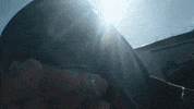 Rey Mysterio Dog GIF by M Huncho