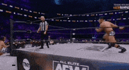 Adam Cole Tbs GIF by All Elite Wrestling on TV