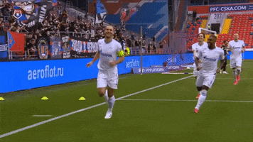 Branislav Ivanovic Soccer GIF by Zenit Football Club