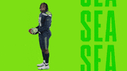 American Football GIF by Seattle Seahawks