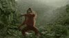 Monkey Dancing GIF