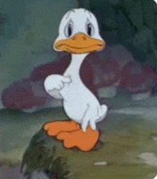 Duck GIF