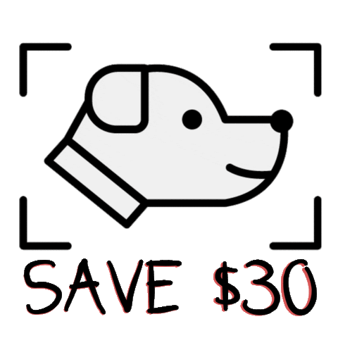 cats dogs Sticker by Barklyshop