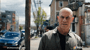 Season 2 Reaction GIF by Law & Order