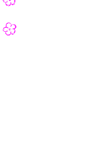 Flower Frame Sticker