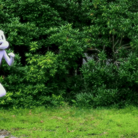 Create Moments Of Joy Whenever You Can