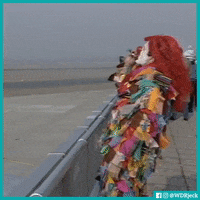 dance dancing GIF by WDR