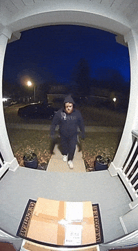 Jake Paul Ai GIF
