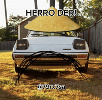 79Rx7Sa GIF