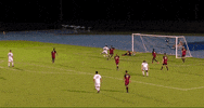 BlueHens soccer celebration hugs teamwork GIF