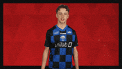 Sc Paderborn 07 Hello GIF by Bundesliga
