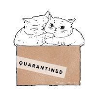 Cat Love Sticker