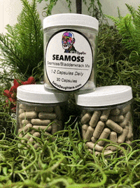 sebisdaughters health wellness sebi seamoss GIF