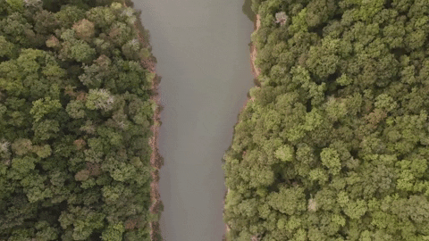 Camp Nox GIF by Nox Holloway