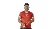 Ipl Dhoni Sticker by Dream11