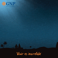 GIF by gnpseguros