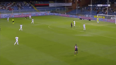 serie a goal GIF by nss sports