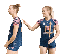 Sport Volleyball Sticker by VBN