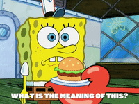 season 5 to love a patty GIF by SpongeBob SquarePants
