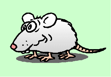 mice GIF
