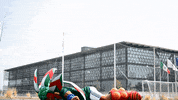 mexico kin GIF by MiSelecciónMX