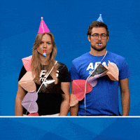 Slingers Zinin GIF by AFAS Software