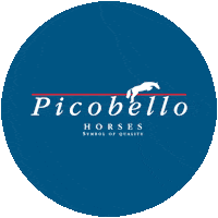 Jumping Sticker by Picobello Horses
