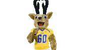 Unk Sticker by University of Nebraska Kearney