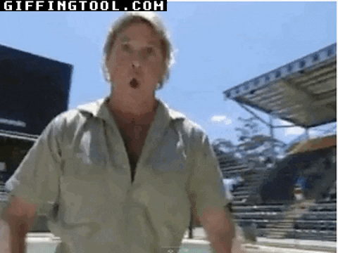 giphyupload GIF