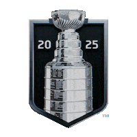 Happy Ice Hockey Sticker by NHL